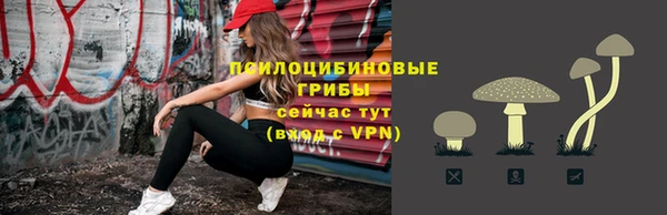мяу мяу мука Болхов
